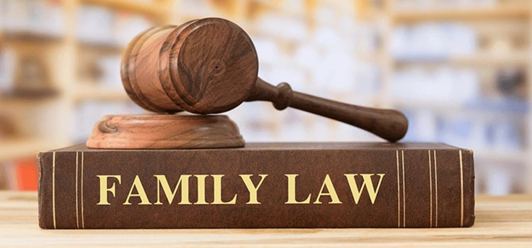 BROOKLYN GUARDIANSHIP LAW ATTORNEY